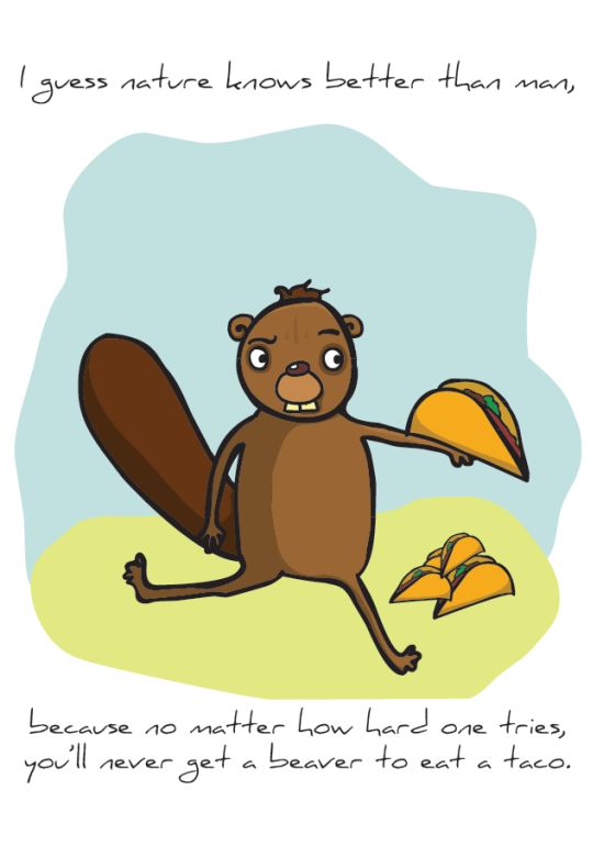 Front of "Beaver Taco" card