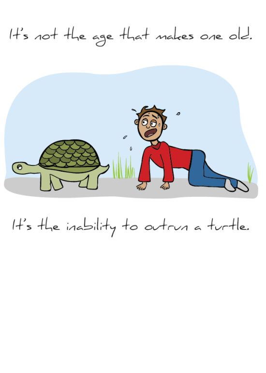 Front of "Turtle running" card