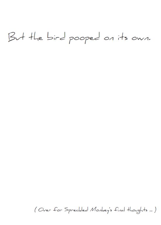 Inside of "Bird poop" card